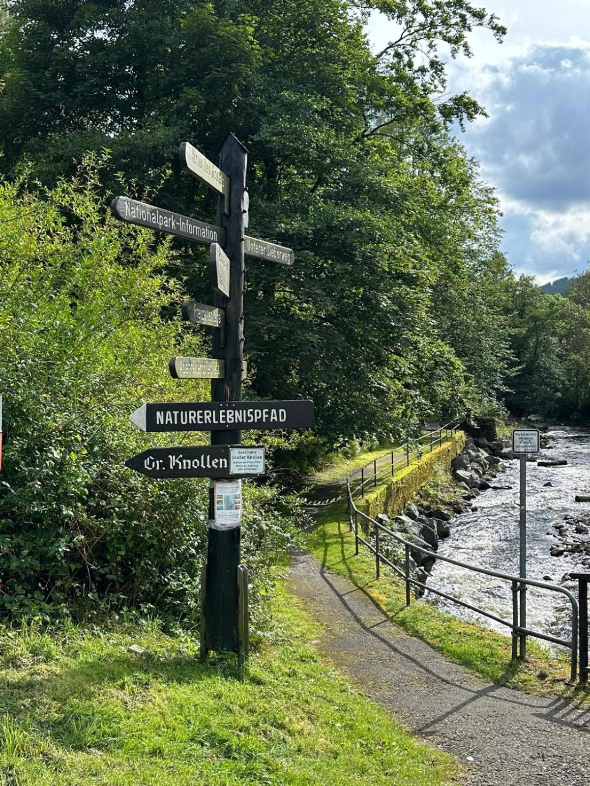 Ferienbutzen Harz Heikenberg, Bad Lauterberg Mit Schwimmbad Und Sauna Luaran gambar